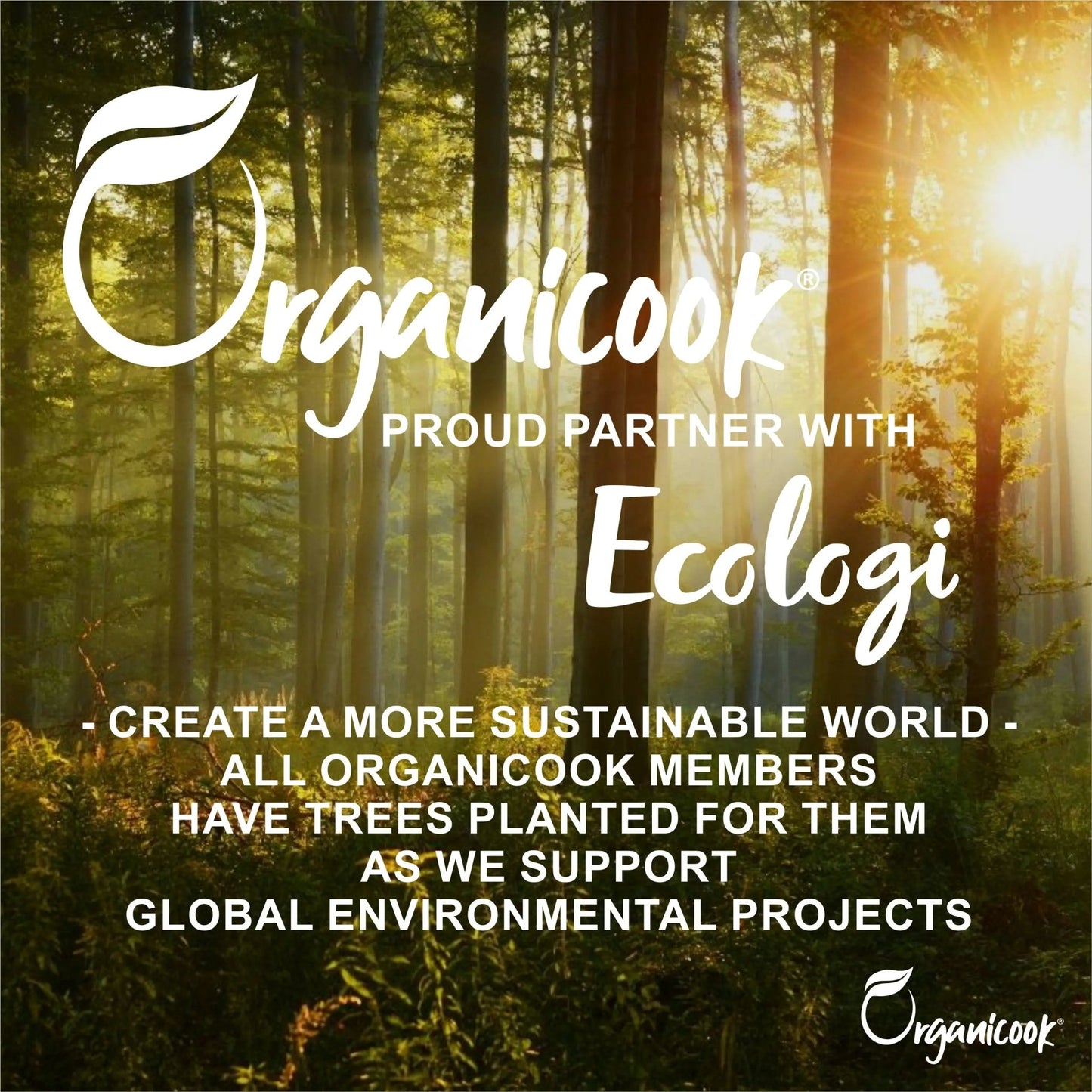 Organicook Food Safe Mineral Oil, Chopping Board & Cutting Board Oil - 250ml, Food Grade, Nut-Free - Apply, Soak, Remove, Done! - Organicook