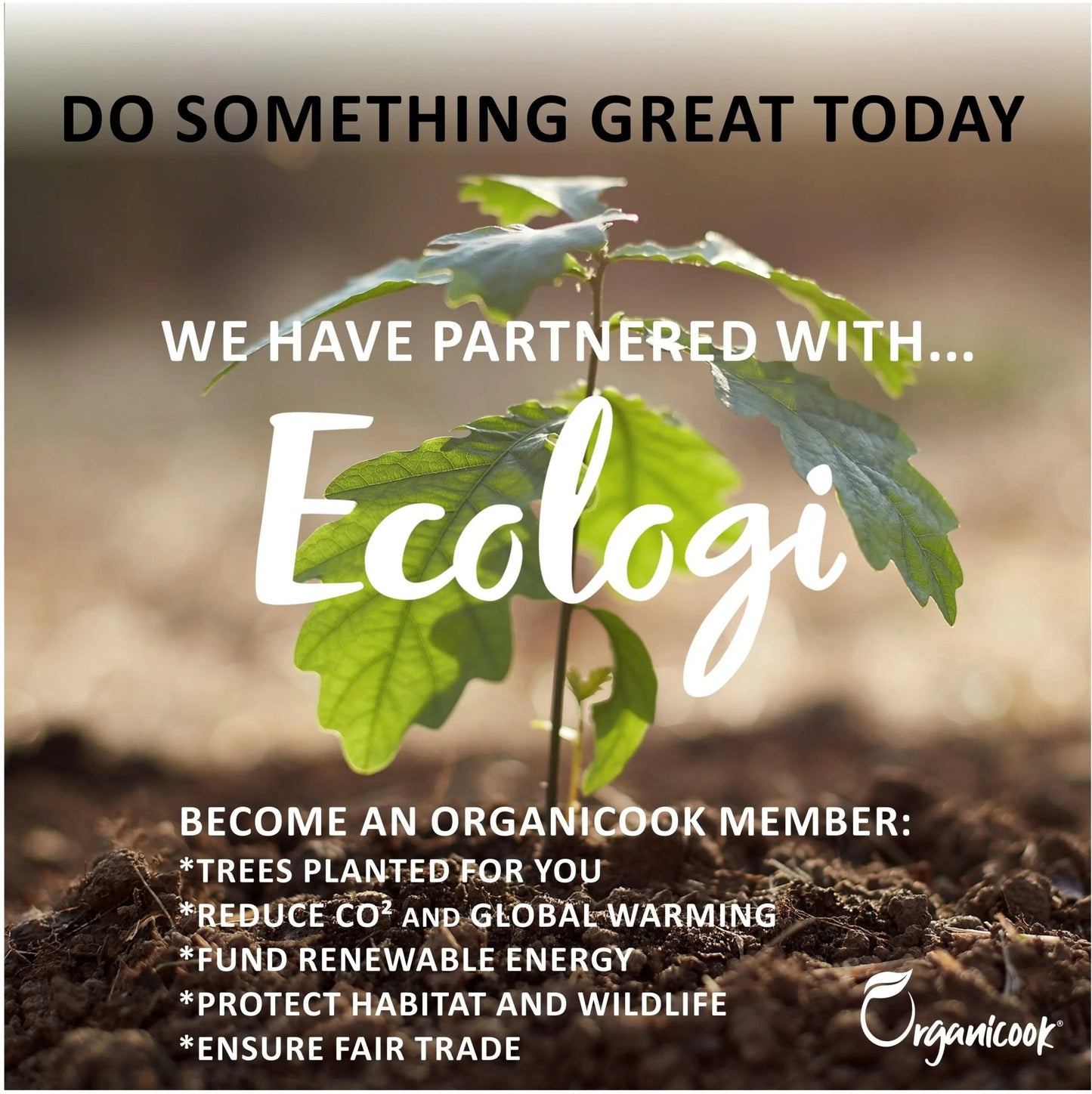 Organicook Wood Chopping Board Set - 3 x Wooden Chopping Boards, Serving Platter/Serving Boards - Bamboo - Light Weight Chopping Boards for Kitchens, Beautifully Handmade Cutting Boards - Easy Clean - Organicook